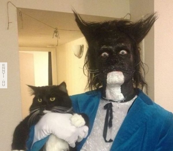 dressed-as-his-cat